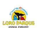 Loro Parque en Tenerife